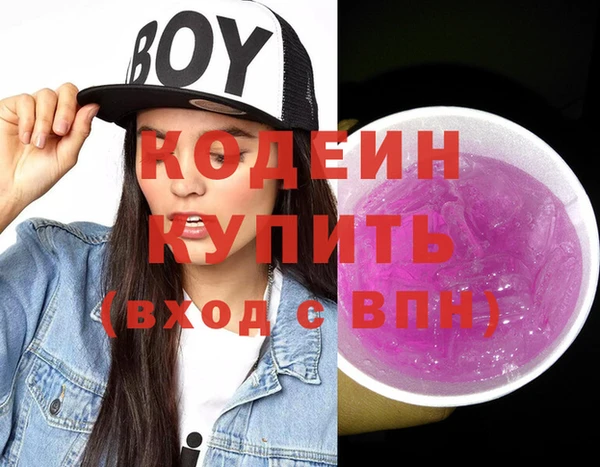 индика Абинск