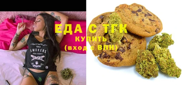 индика Абинск
