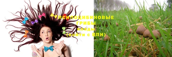 индика Абинск