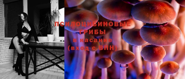 индика Абинск