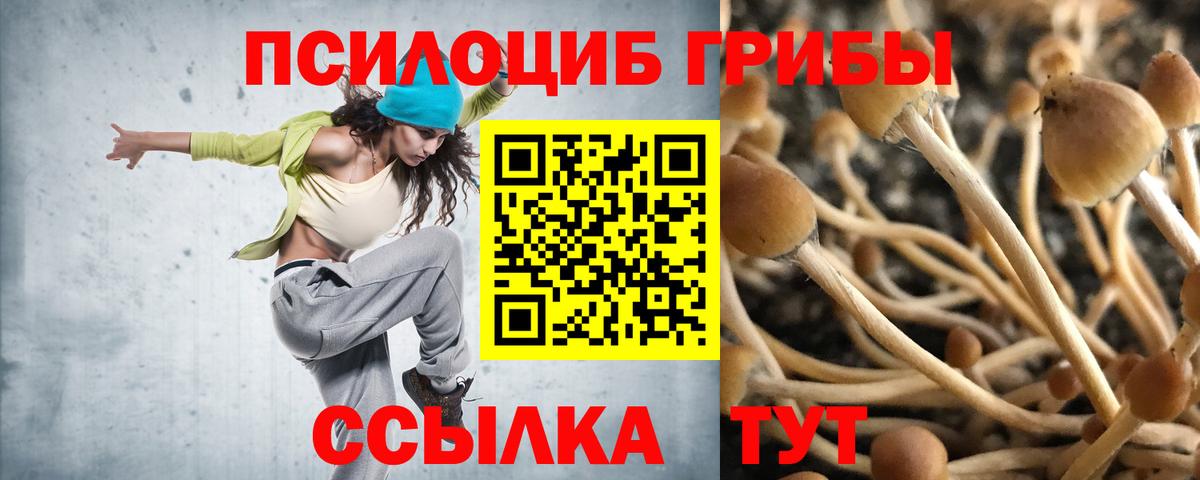 Псилоцибиновые грибы мицелий  Псилоцибиновые грибы ЛСД  где найти   Новочеркасск  Вход с VPN 